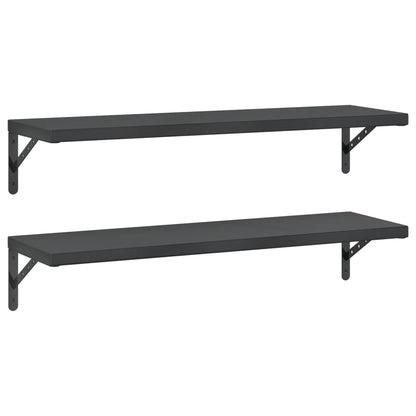 Wall Shelves 2 pcs 100x30 cm Black Stainless Steel