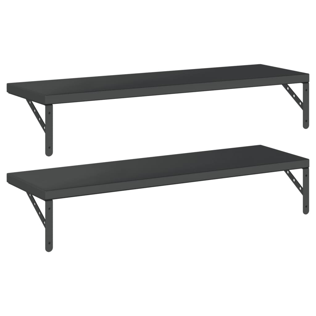 Wall Shelves 2 pcs 100x30 cm Black Stainless Steel