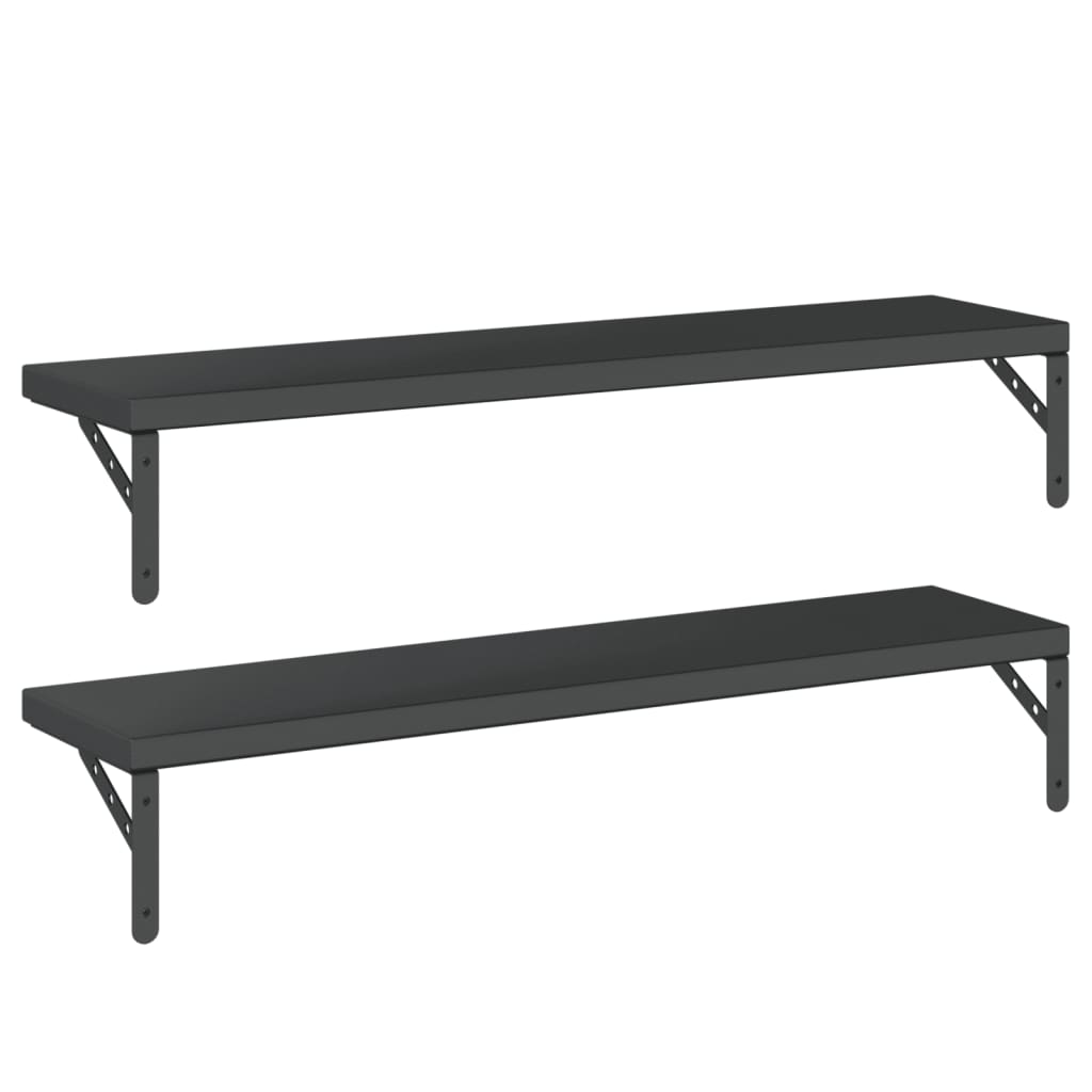 Wall Shelves 2 pcs 100x23.5 cm Black Stainless Steel