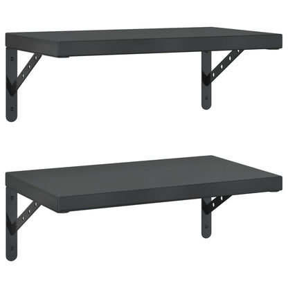 Wall Shelves 2 pcs 50x30 cm Black Stainless Steel