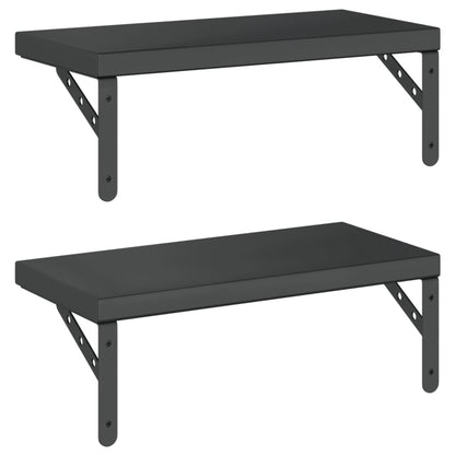 Wall Shelves 2 pcs 50x23.5 cm Black Stainless Steel