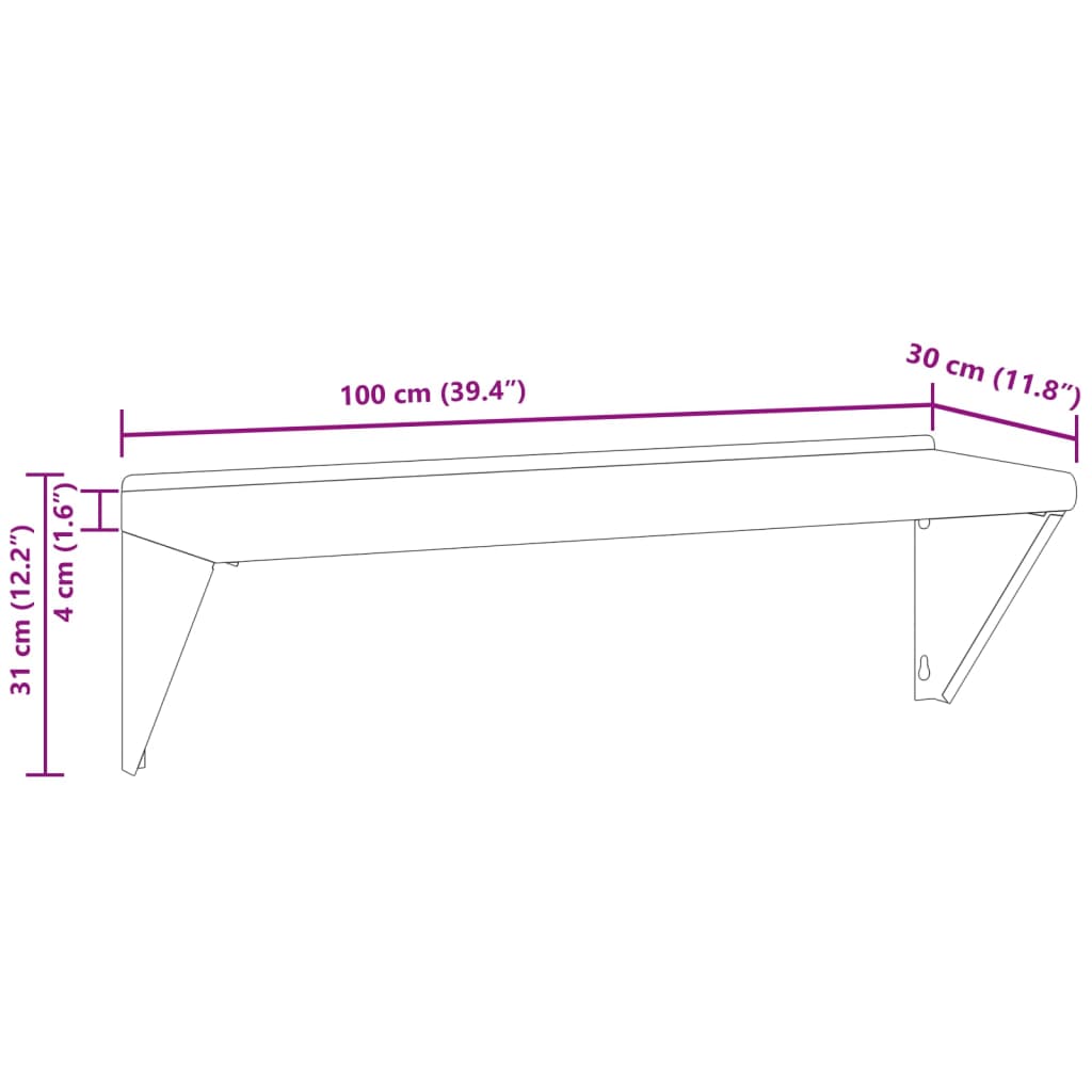 Wall Shelf 100x30x31 cm Silver Stainless Steel