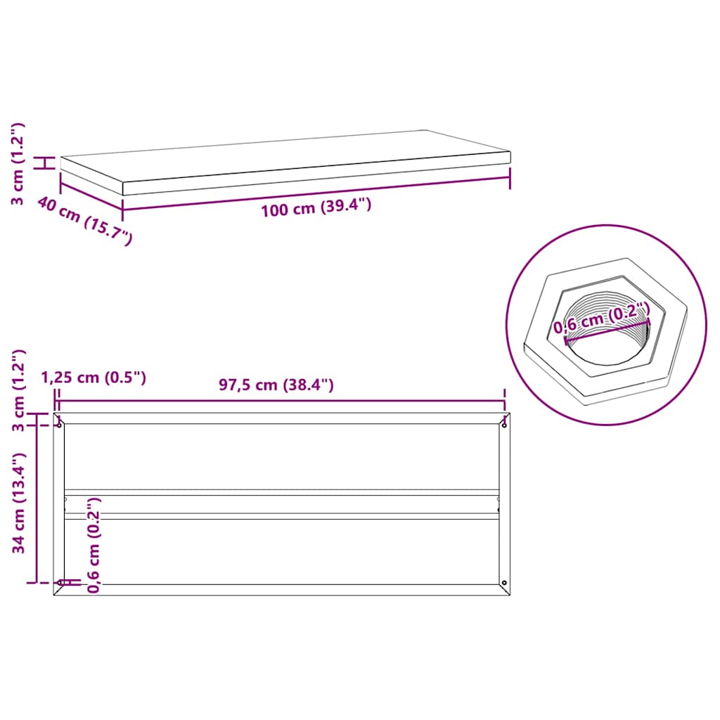 Wall Shelves 2 pcs 100x40x3 cm Silver Stainless Steel