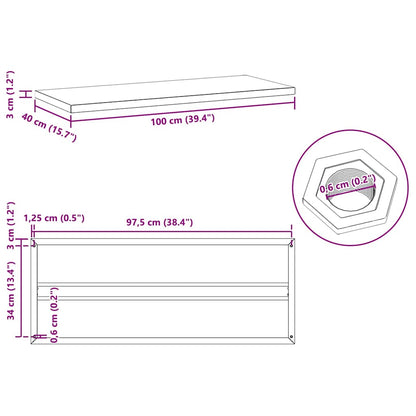 Wall Shelves 2 pcs 100x40x3 cm Silver Stainless Steel