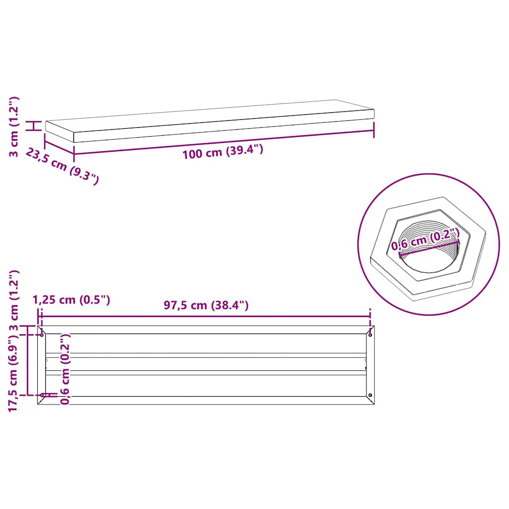 Wall Shelves 2 pcs 100x23.5x3 cm Silver Stainless Steel