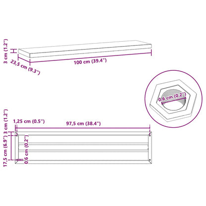 Wall Shelves 2 pcs 100x23.5x3 cm Silver Stainless Steel