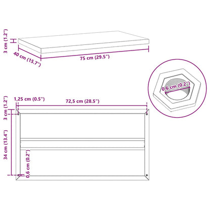 Wall Shelves 2 pcs 75x40x3 cm Silver Stainless Steel