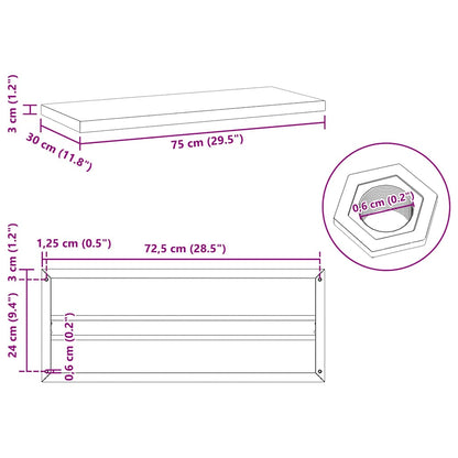 Wall Shelves 2 pcs 75x30x3 cm Silver Stainless Steel