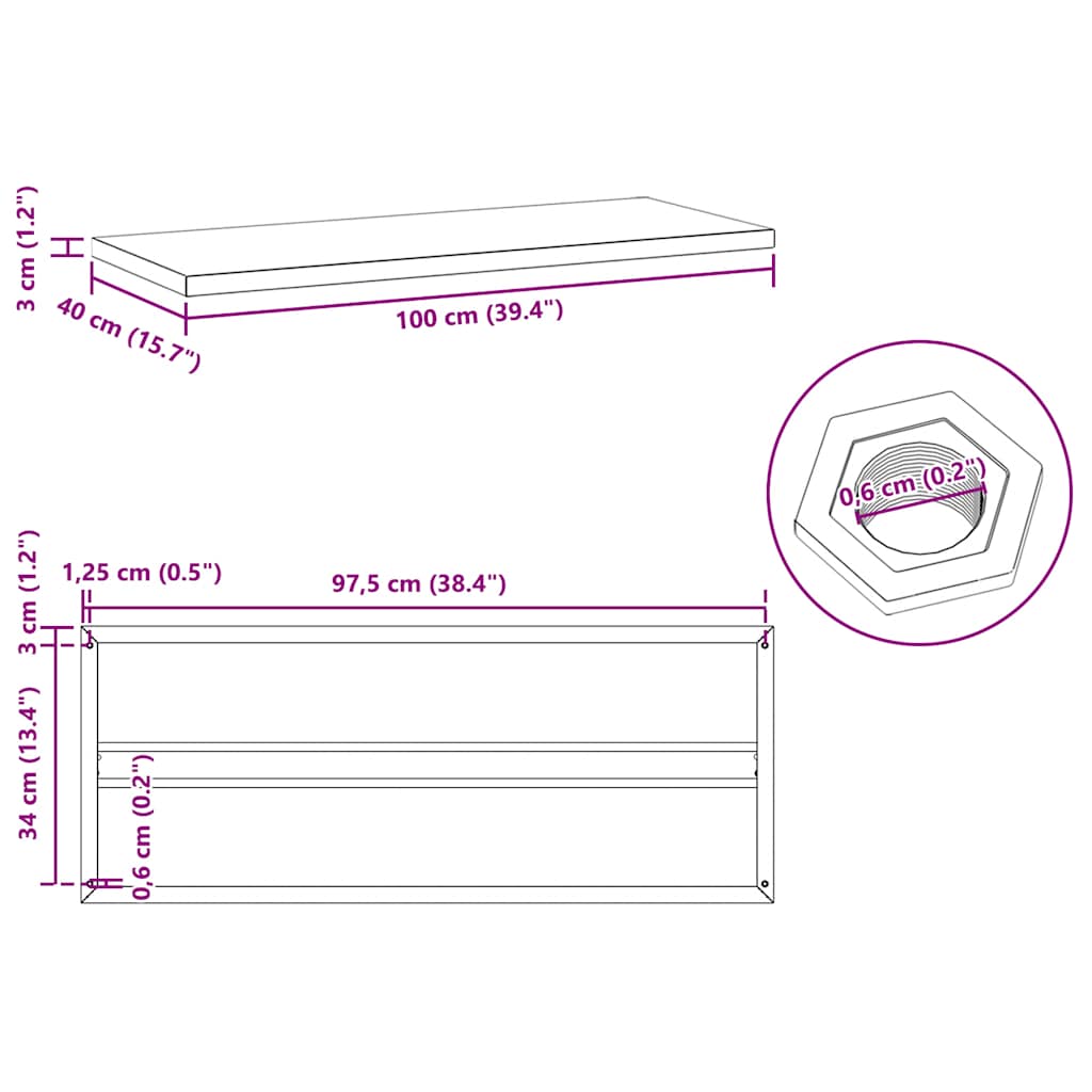 Wall Shelves 2 pcs 100x40x3 cm Black Stainless Steel