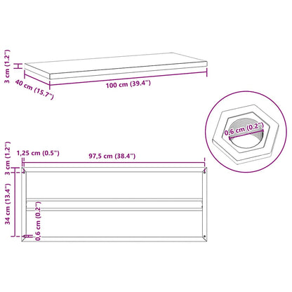 Wall Shelves 2 pcs 100x40x3 cm Black Stainless Steel