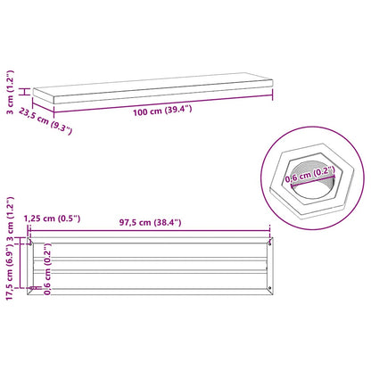 Wall Shelves 2 pcs 100x23.5x3 cm Black Stainless Steel