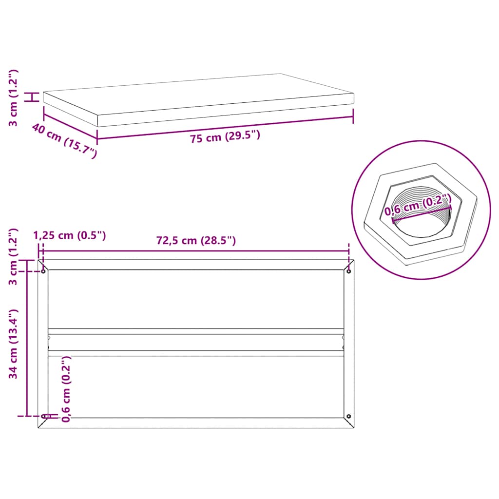 Wall Shelves 2 pcs 75x40x3 cm Black Stainless Steel