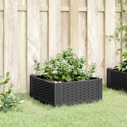 Garden Planter with Pegs Black 42.5x42.5x28.5 cm PP