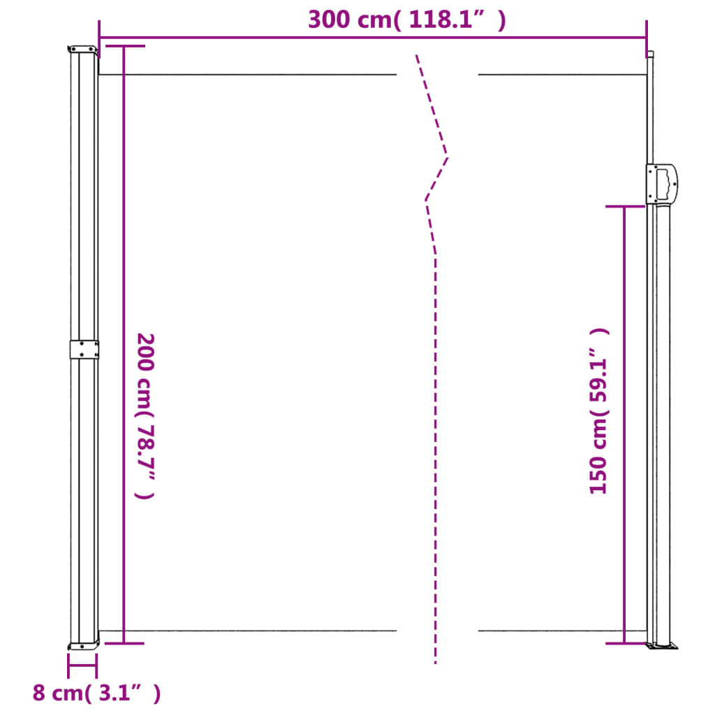 Retractable Side Awning Black 200x300 cm