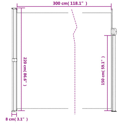 Retractable Side Awning Blue 220x300 cm