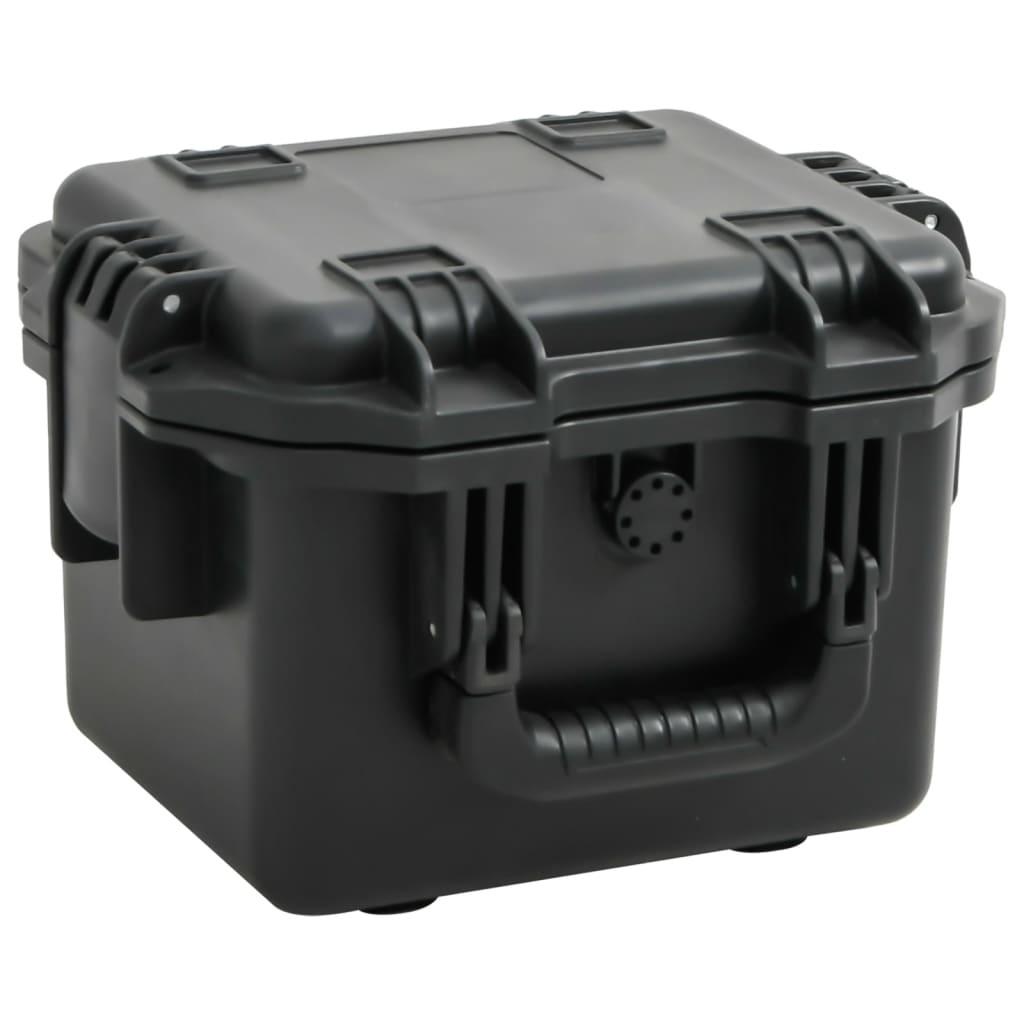 Portable Flight Case Black 30x24.5x20 cm PP