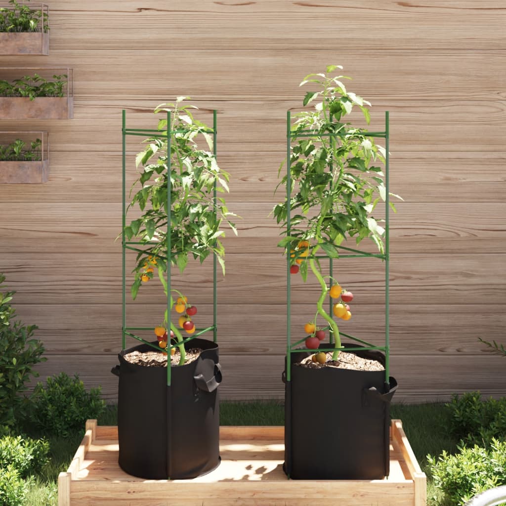 Tomato Cage with Plant Bag 2 pcs 116 cm Steel and PP