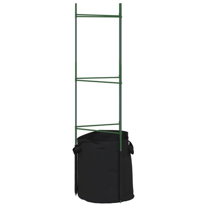 Tomato Cage with Plant Bag 2 pcs 116 cm Steel and PP