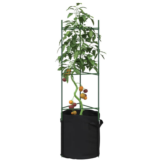 Tomato Cage with Plant Bag 2 pcs 116 cm Steel and PP