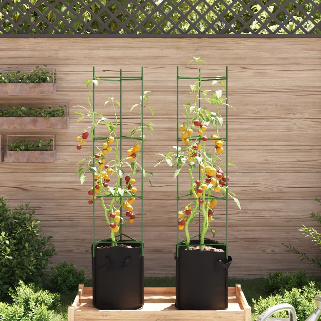 Tomato Cage with Plant Bag 2 pcs 154 cm Steel and PP