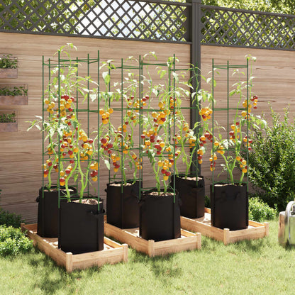 Tomato Cages with Plant Bags 6 pcs 154 cm Steel and PP