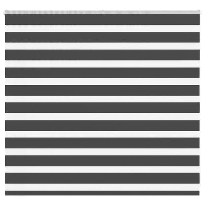 Zebra Blind Black 165x100 cm Fabric Width 160.9 cm Polyester