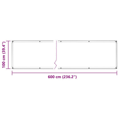 Clear Tarpaulin with Eyelets 1x6 m Polyethylene