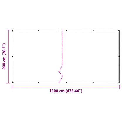 Clear Tarpaulin with Eyelets 2x12 m Polyethylene