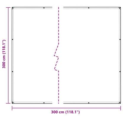 Clear Tarpaulin with Eyelets 3x3 m Polyethylene