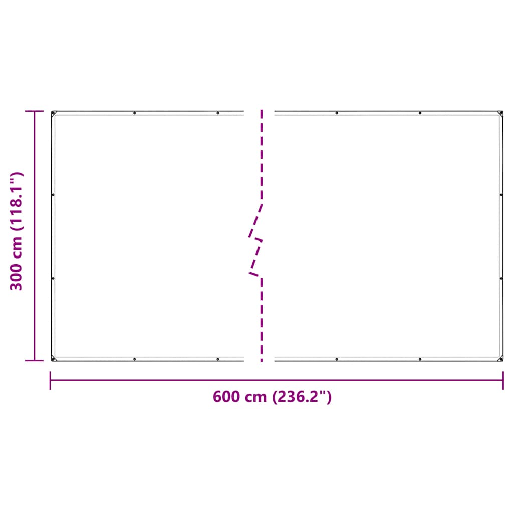 Clear Tarpaulin with Eyelets 3x6 m Polyethylene