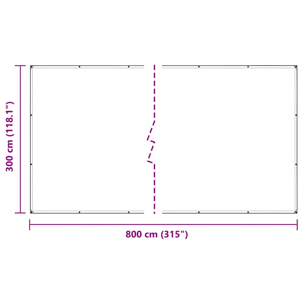 Clear Tarpaulin with Eyelets 3x8 m Polyethylene