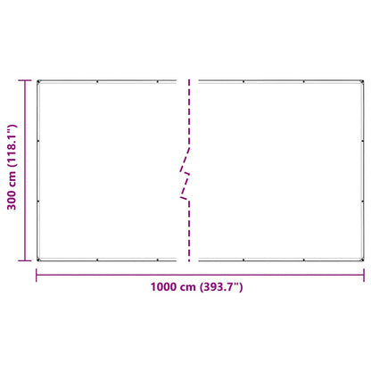 Clear Tarpaulin with Eyelets 3x10 m Polyethylene