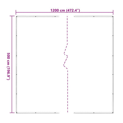 Clear Tarpaulin with Eyelets 5x12 m Polyethylene