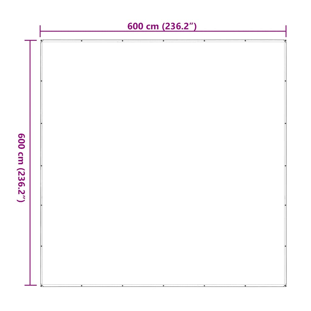 Clear Tarpaulin with Eyelets 6x6 m Polyethylene