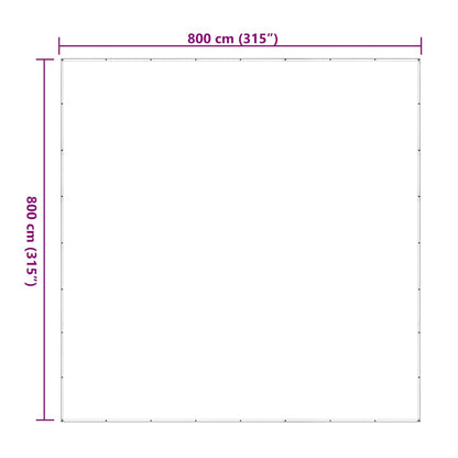 Clear Tarpaulin with Eyelets 8x8 m Polyethylene