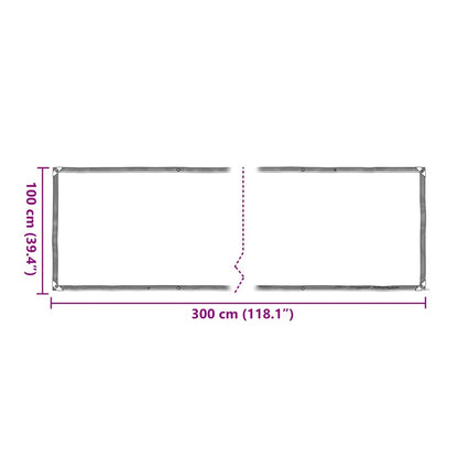 Clear Tarpaulin with Eyelets 1x3 m Polyethylene