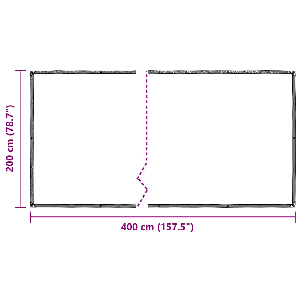 Clear Tarpaulin with Eyelets 2x4 m Polyethylene