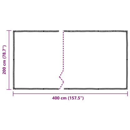 Clear Tarpaulin with Eyelets 2x4 m Polyethylene