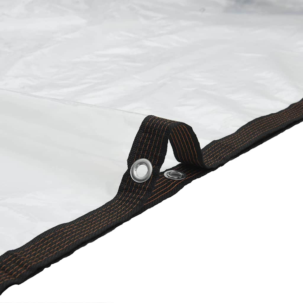 Clear Tarpaulin with Eyelets 2x5 m Polyethylene