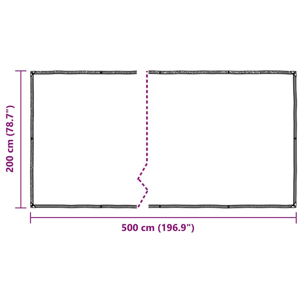 Clear Tarpaulin with Eyelets 2x5 m Polyethylene