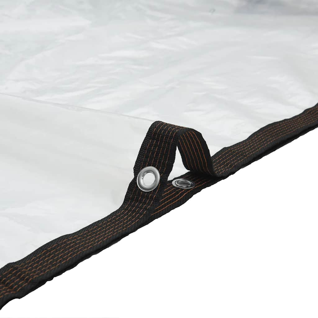 Clear Tarpaulin with Eyelets 3x6 m Polyethylene