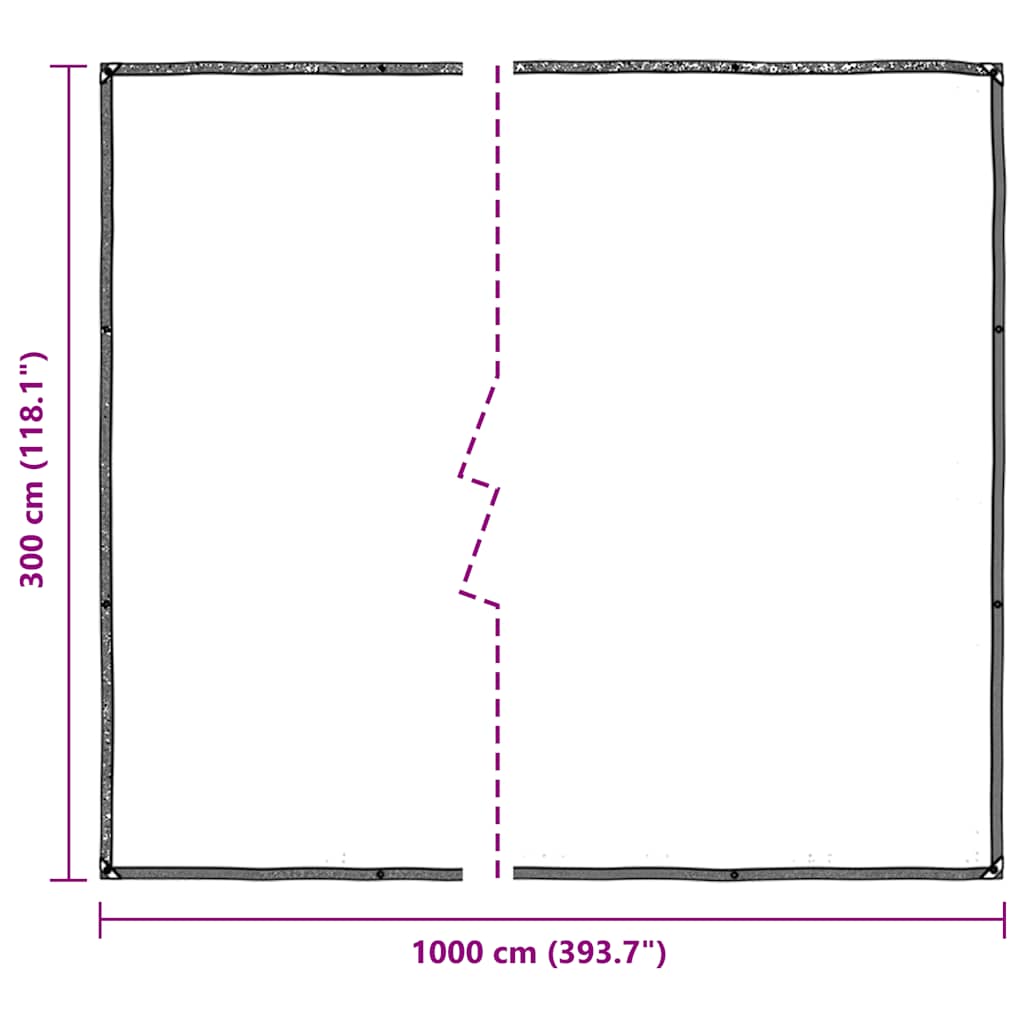 Clear Tarpaulin with Eyelets 3x10 m Polyethylene