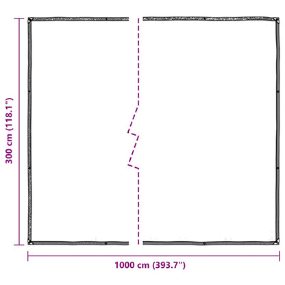 Clear Tarpaulin with Eyelets 3x10 m Polyethylene