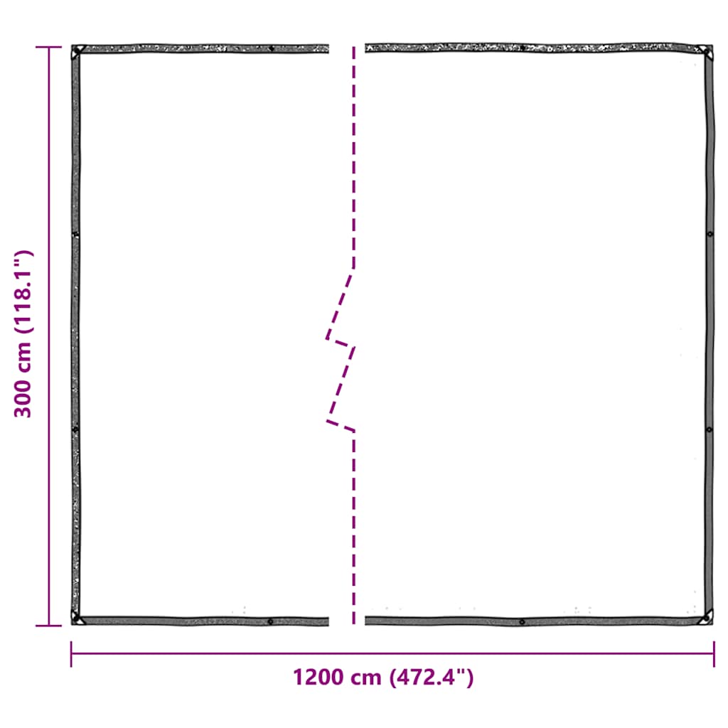 Clear Tarpaulin with Eyelets 3x12 m Polyethylene