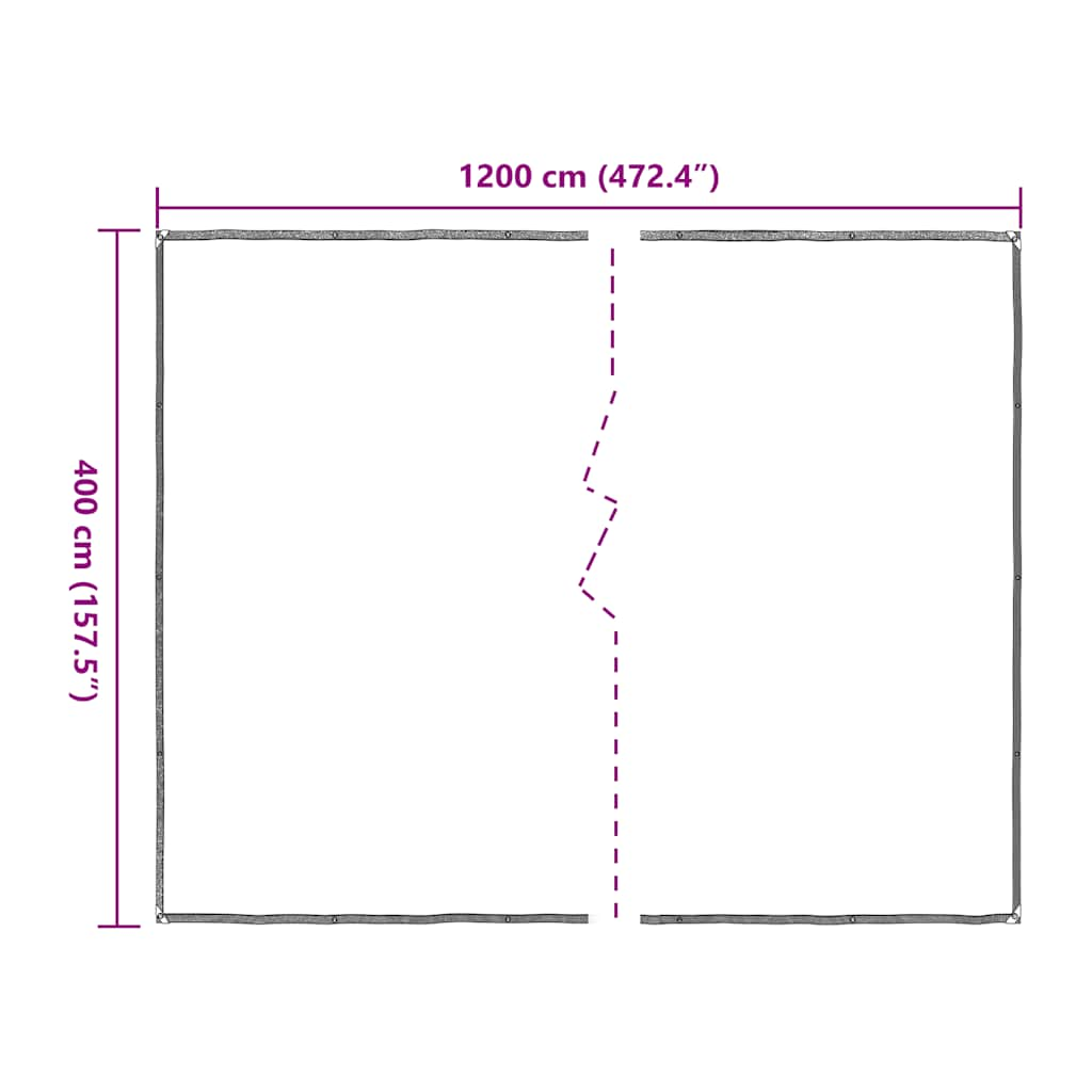 Clear Tarpaulin with Eyelets 4x12 m Polyethylene