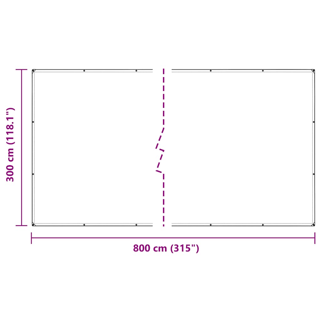 Clear Tarpaulin with Eyelets 3x8 m PVC