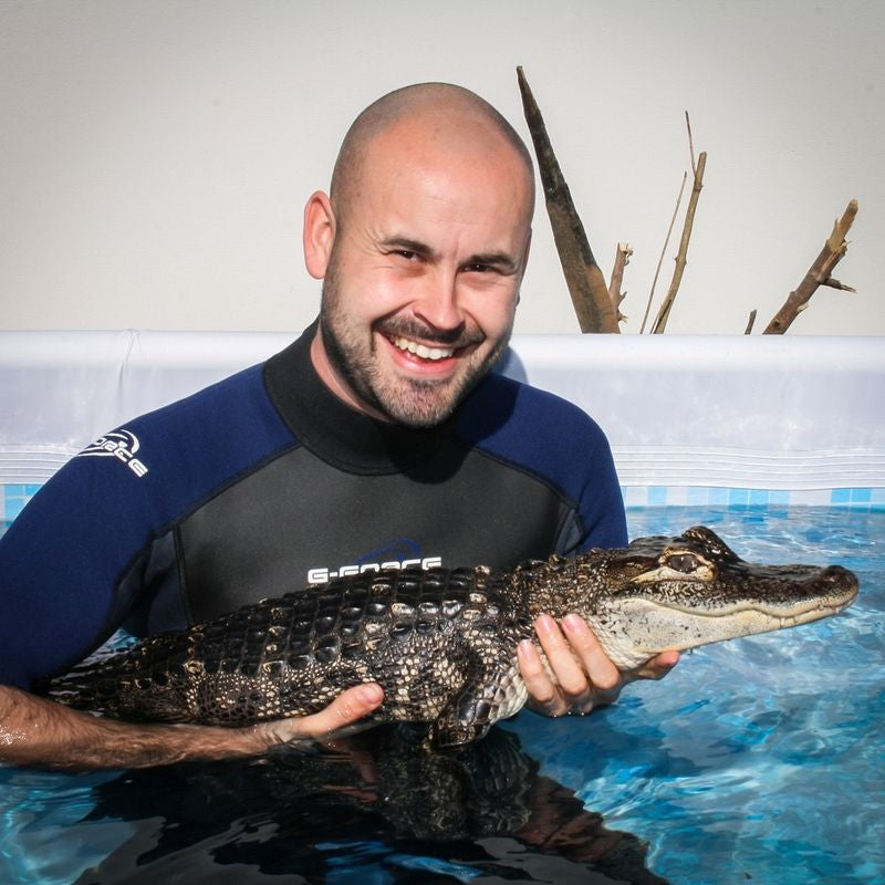 Swimming with Crocodiles for Two And Lunch - Gift Experience