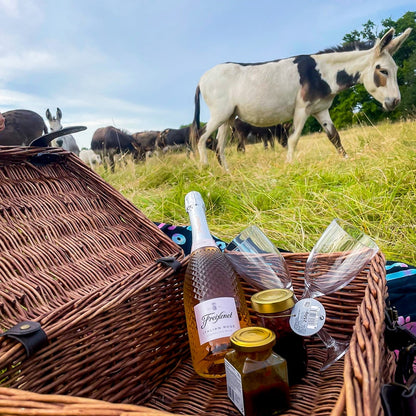 Donkey Picnic for Four at Dashing Donkeys  - Gift Experience