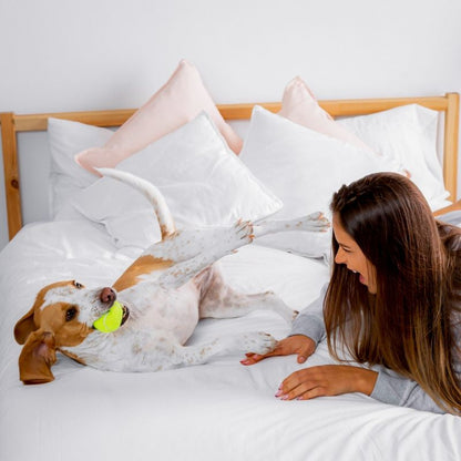 Dog Friendly Hotel Stays - Gift Experience