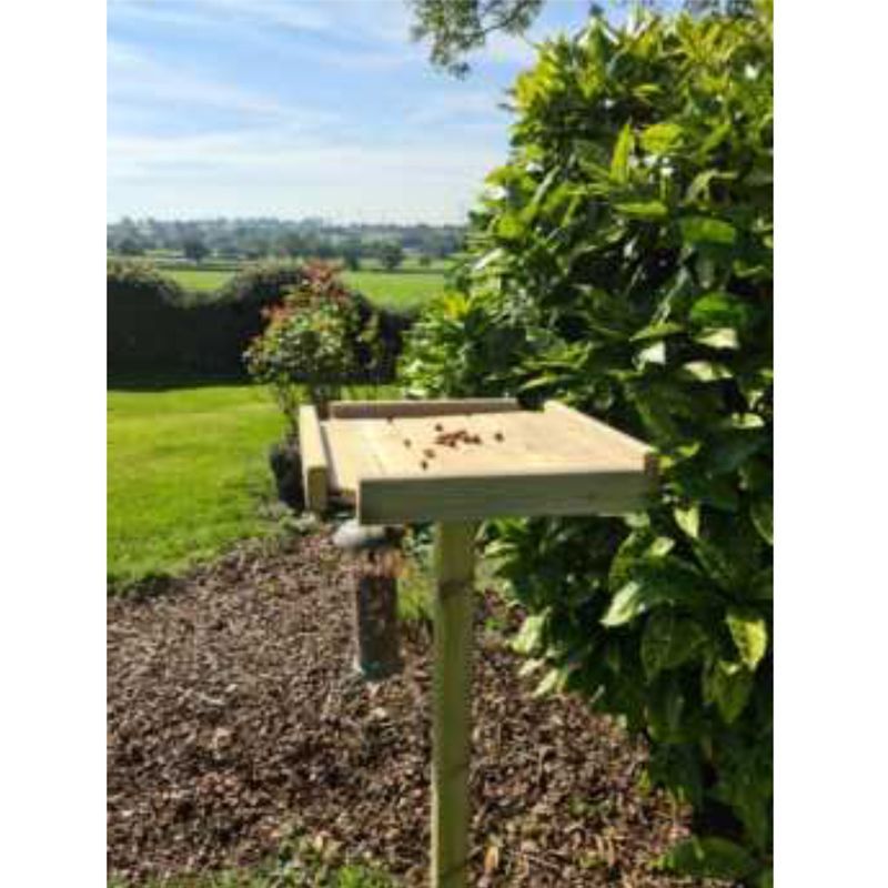 Essentials Garden Bird Feeder by Croft